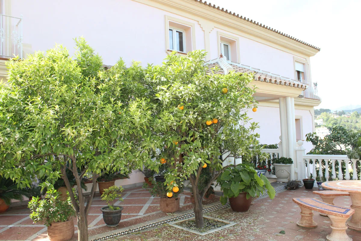 403de0ee-4bfa-4af7-9448-7a0576db2fe6