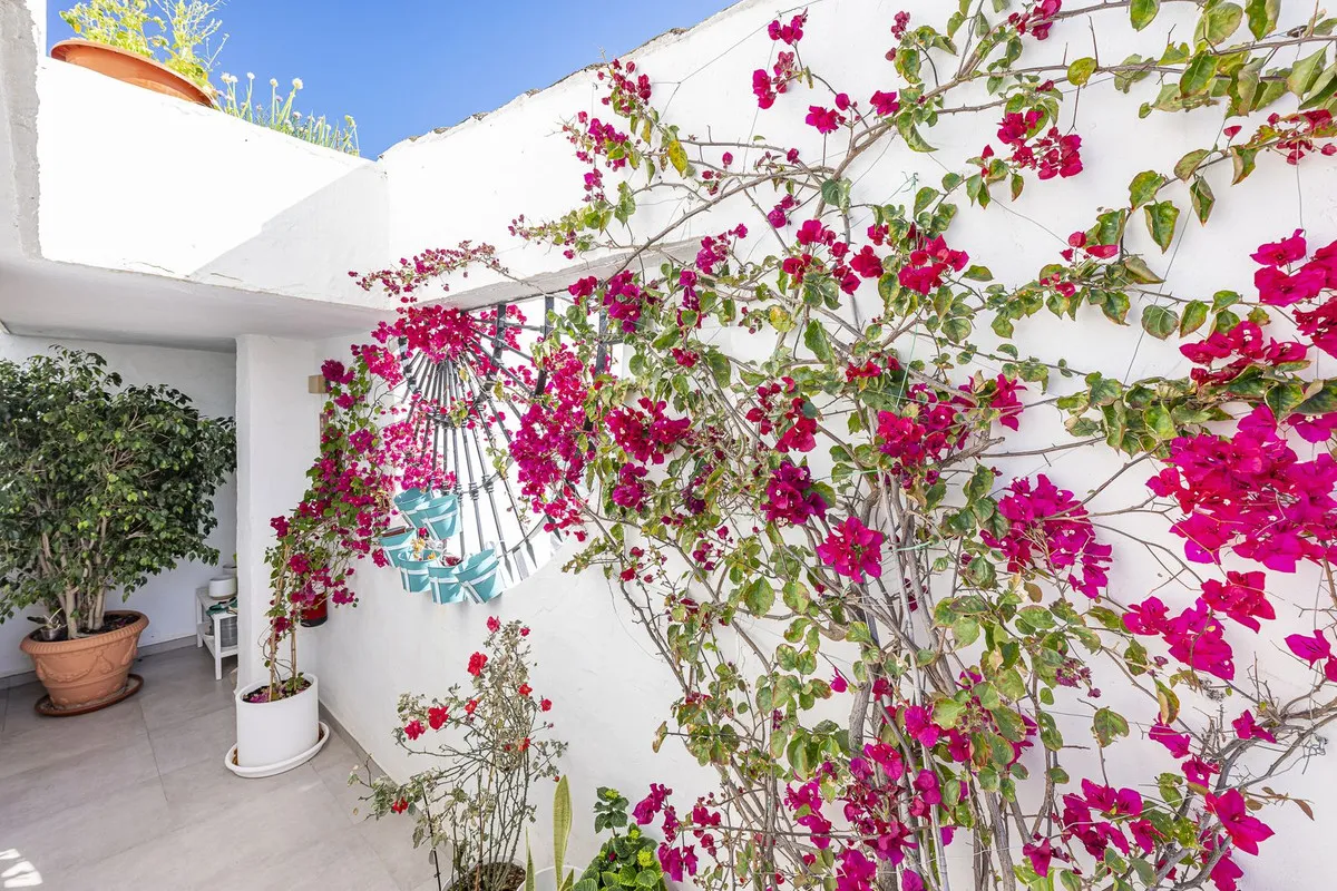 57ebdf0d-c17f-4839-8f18-61fc7785e719