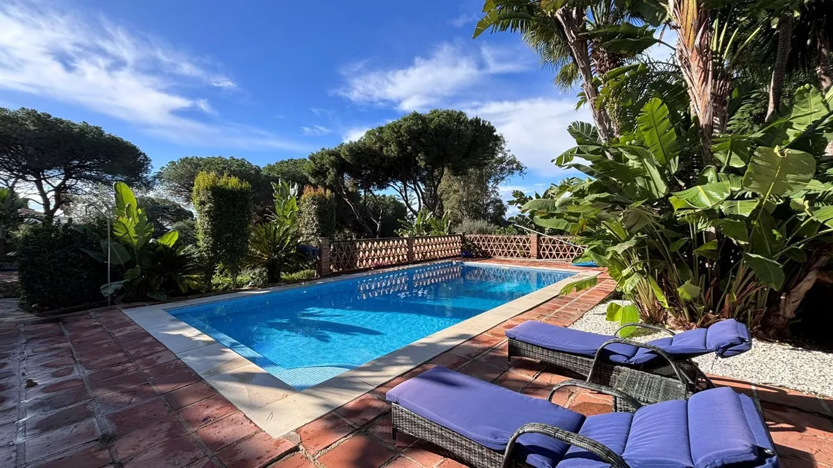 b5065612-5a3e-48ea-adc6-c1104bf9adea