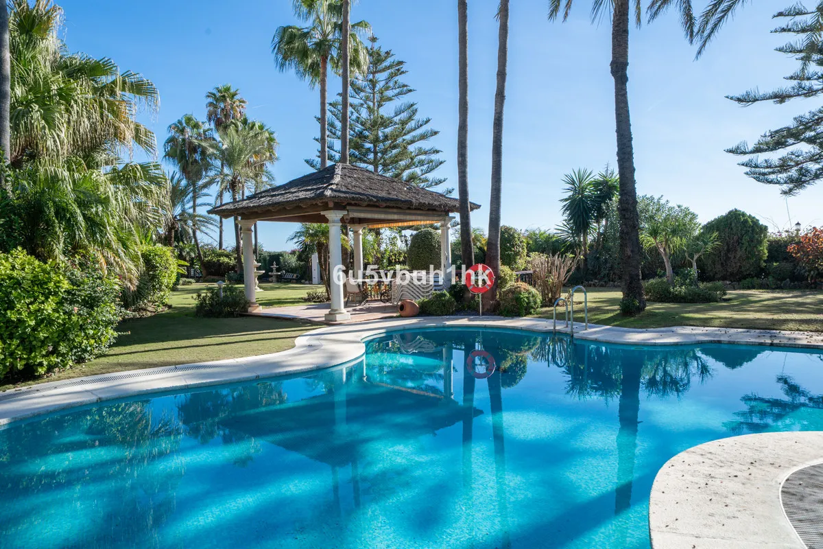 d45fba31-c36b-438a-aeca-312c7208fe02