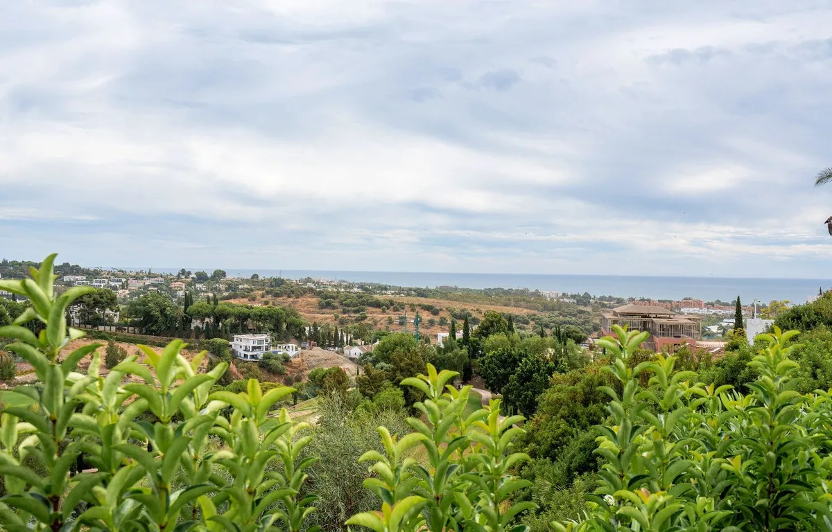 65abbc88-87e9-4fd4-8c16-185a07ef1157