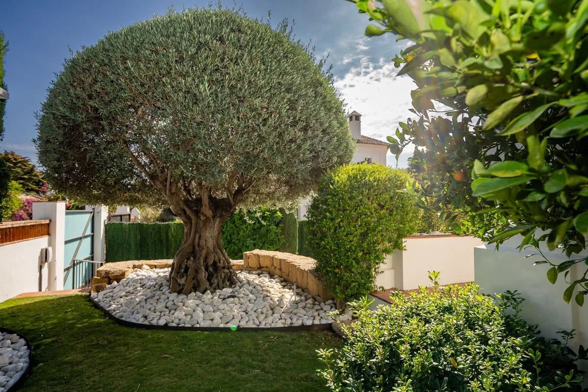 910a97f2-a14a-4668-8607-05dc96160a14