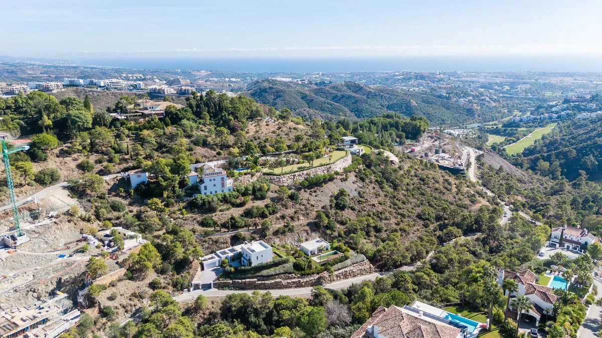 e035526e-eef4-4c01-8c49-0374bb36461b