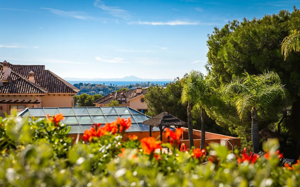 2fe0aaed-3700-4c8e-9919-2bfc2963eaa7