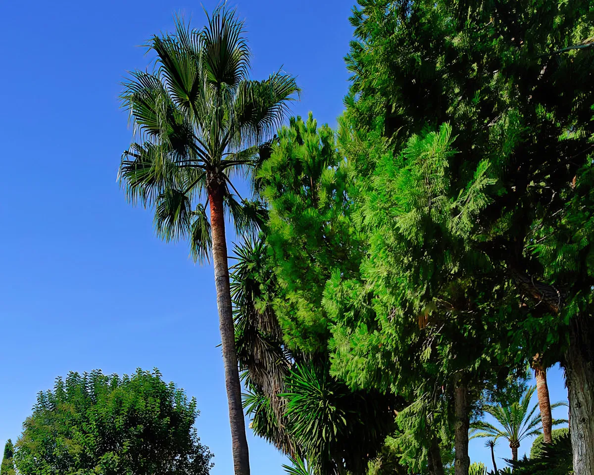 21f7fab1-87e7-481d-8889-886692f521dc