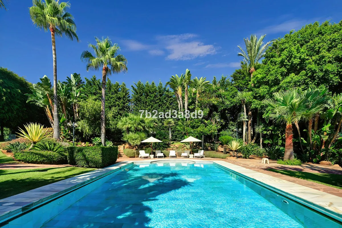 ab661b1f-1dfc-4d6a-bff2-8a952951f743