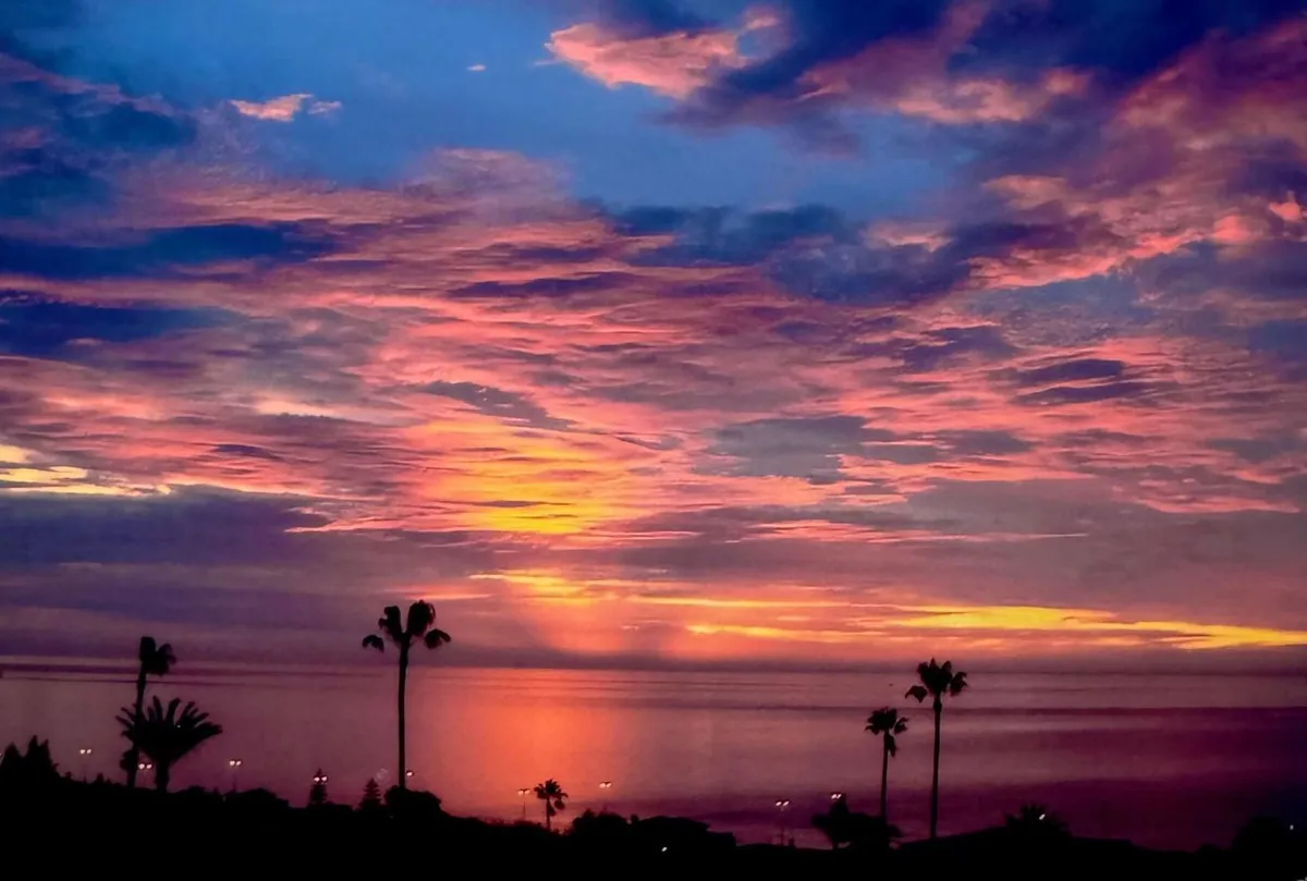 2c58aaee-00dd-4d5b-899b-bb3794d6439c