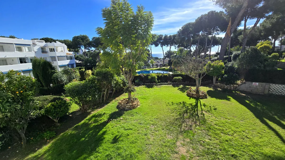 ec78c559-0592-493c-96b5-f84e545ebfa3