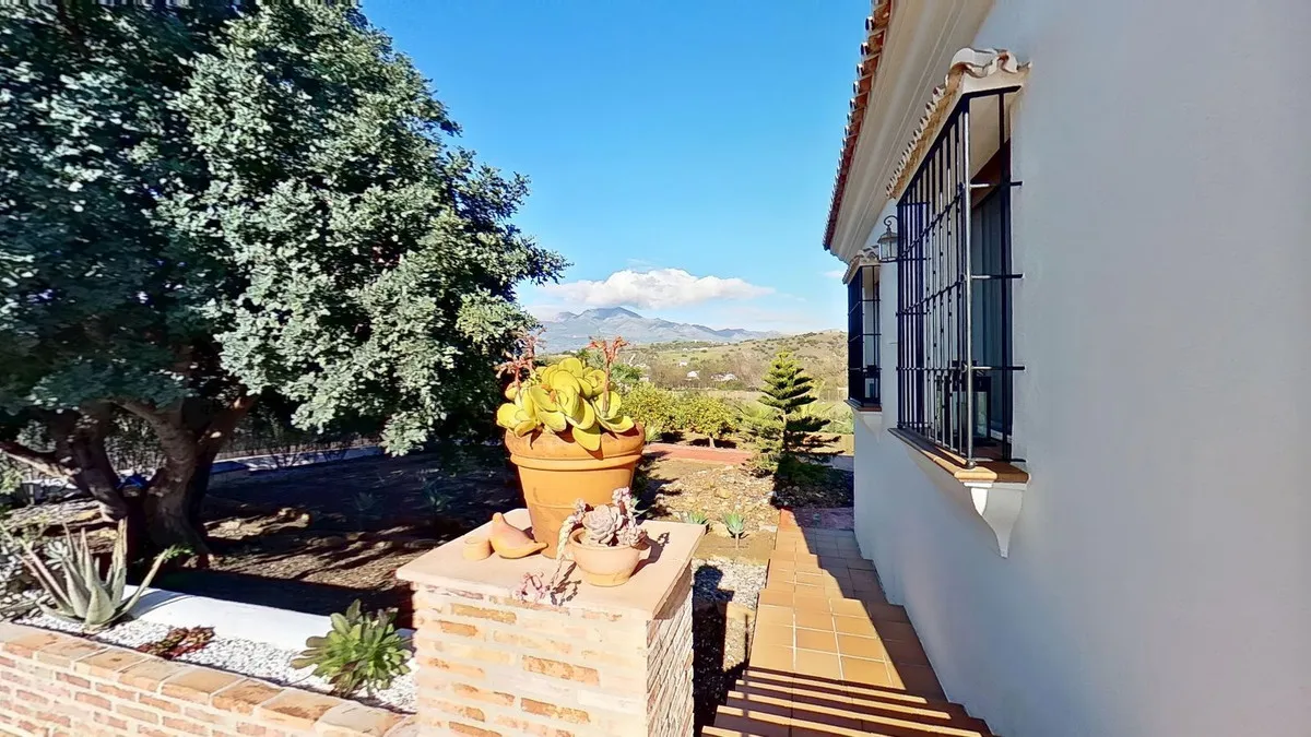 d99c1571-c361-4b6e-bbd1-76039b62f141