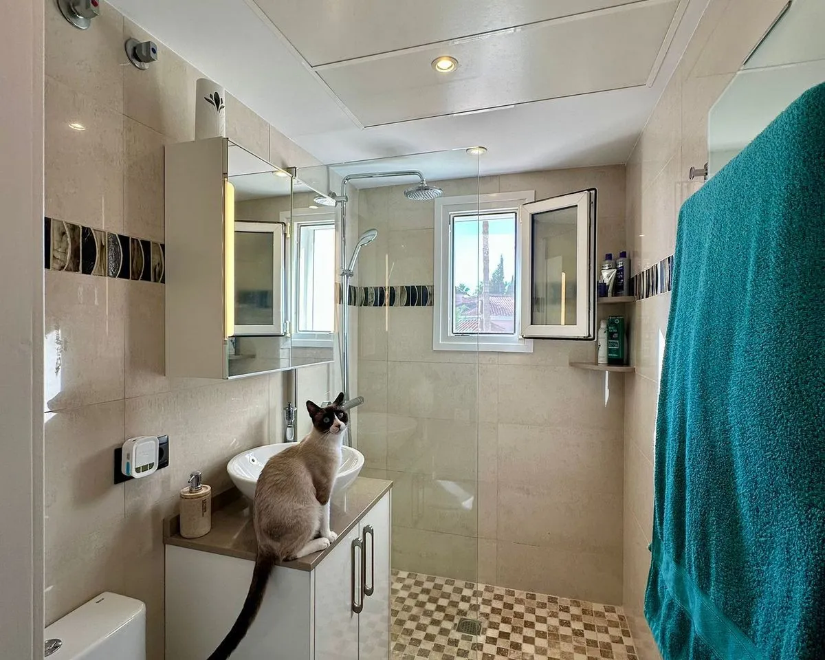 24ccd20d-476a-4c65-8535-8314fc3d6243