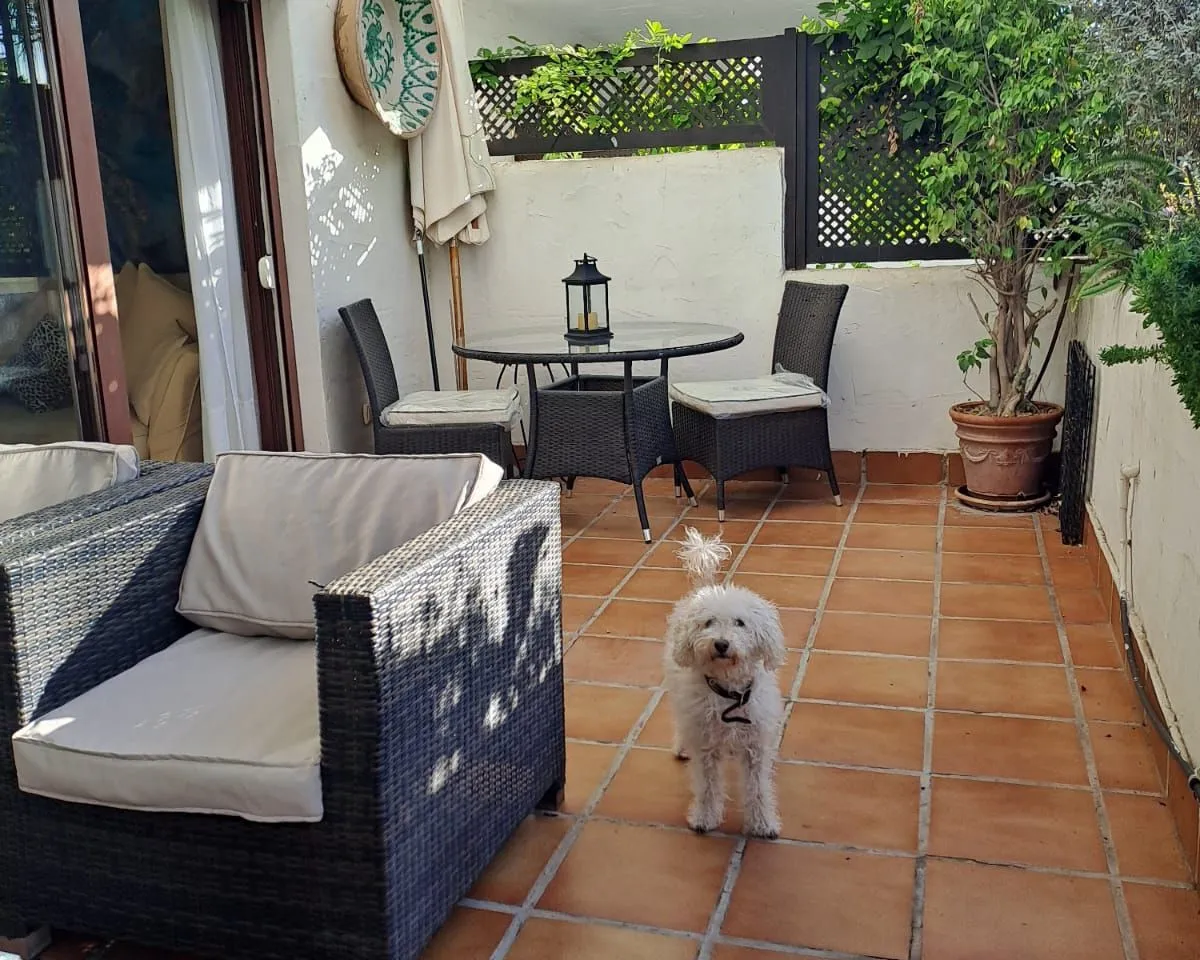 fc8e53cb-b7b8-4138-83de-b0c056f038f1