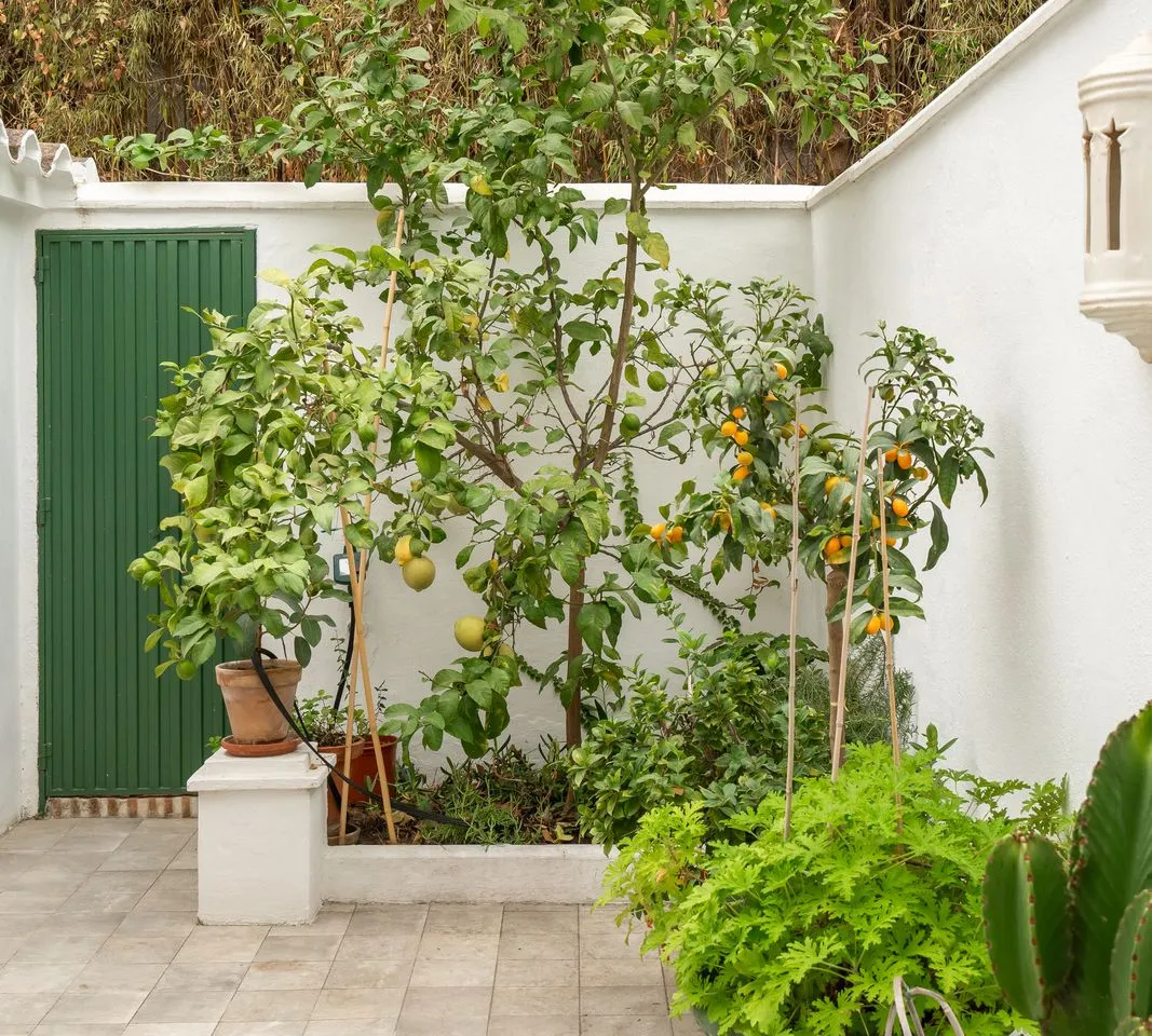 f6cfa73f-6283-4078-9bba-232e0d45c67d