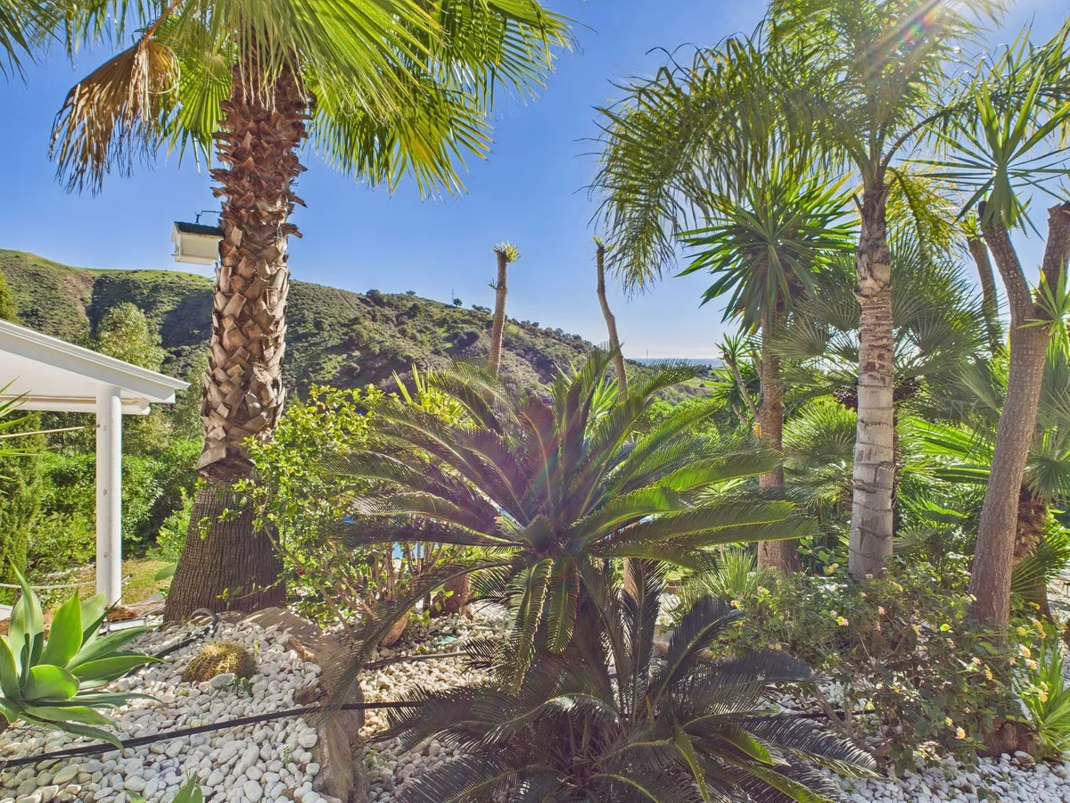 ae5cefba-9ca8-4711-a1c1-0eb90994a7b6