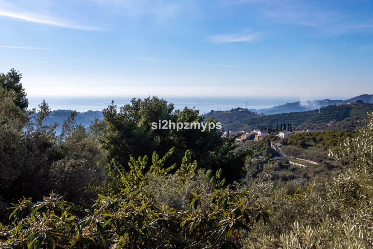 b537ef77-9a50-4bcb-aca6-4bef7ba2102c