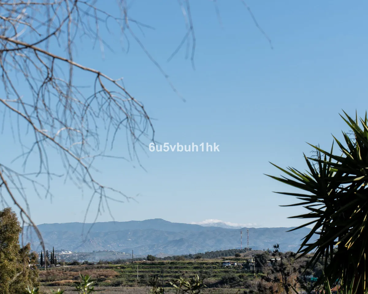 0398c559-a242-431b-99da-75b463a3b284