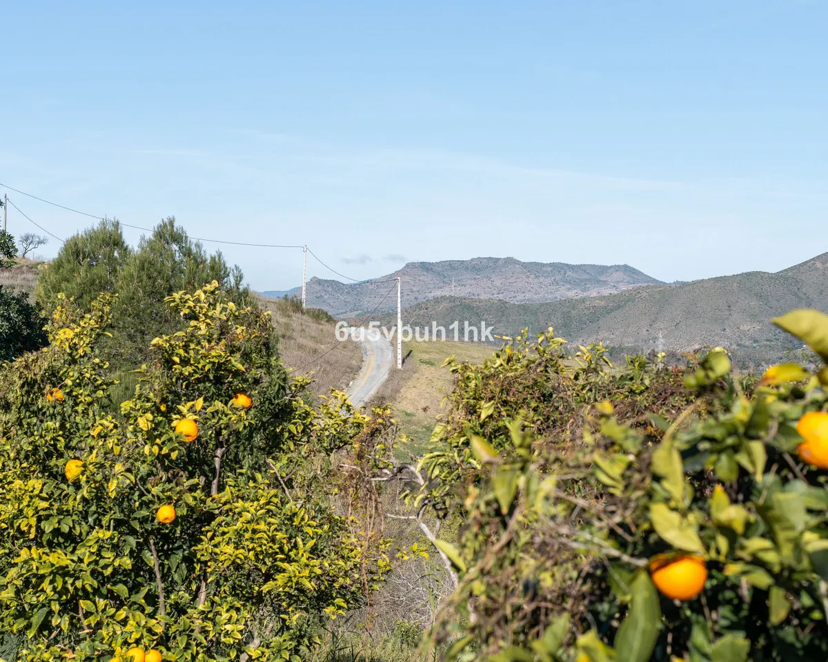 76c5ef90-4988-4a5d-b78d-d8483156733d