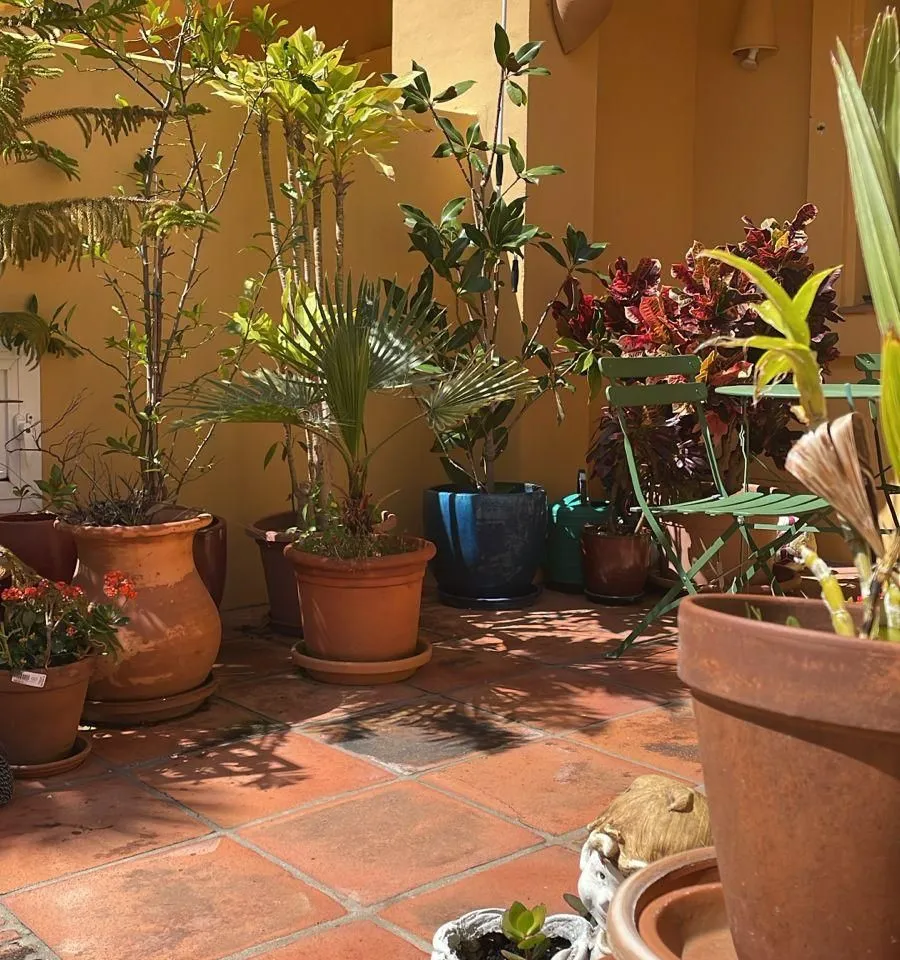 Elegant Villa with Golf Course Views in Sotogrande Alto