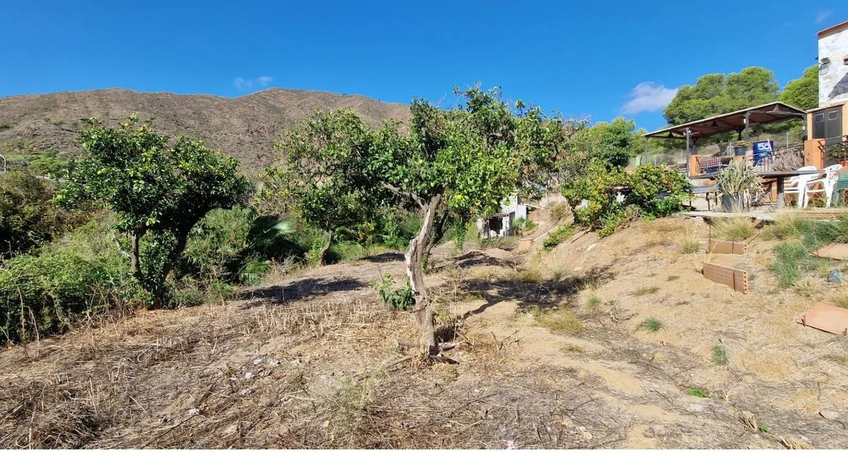 13d87f2f-143b-44ce-a593-7716a9ca868b