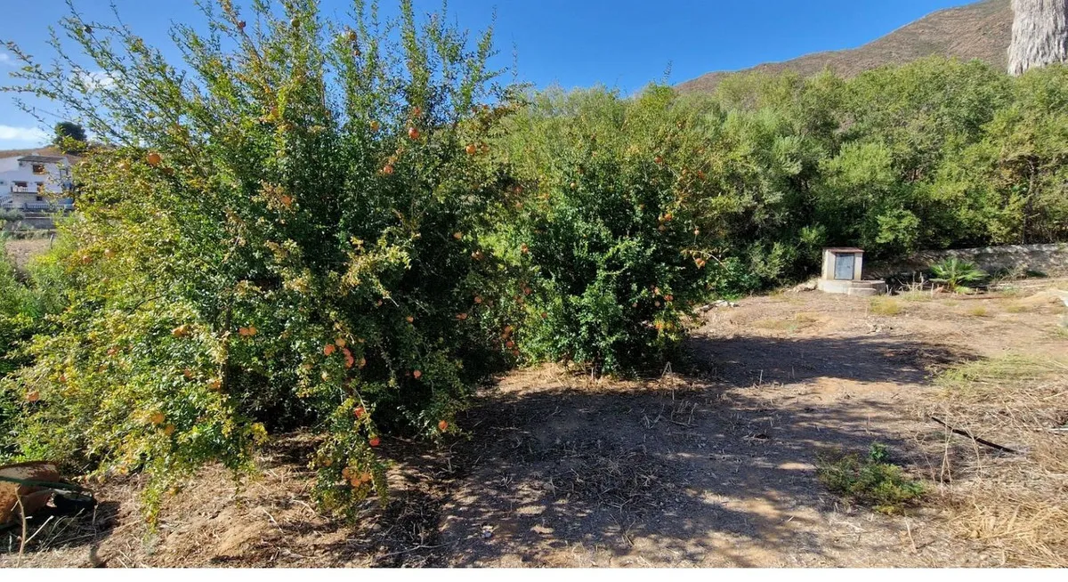 a9243e79-38f8-4d35-936a-33c6c6ad1b58