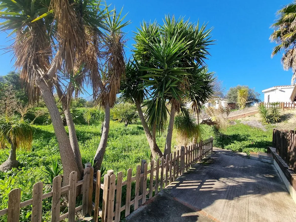 d244738c-edb0-4425-a8f3-d843d2b5693f