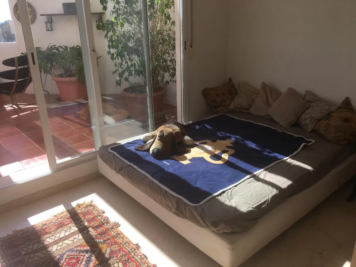 b1b34a4c-88ab-4f26-8fc1-da570966593d