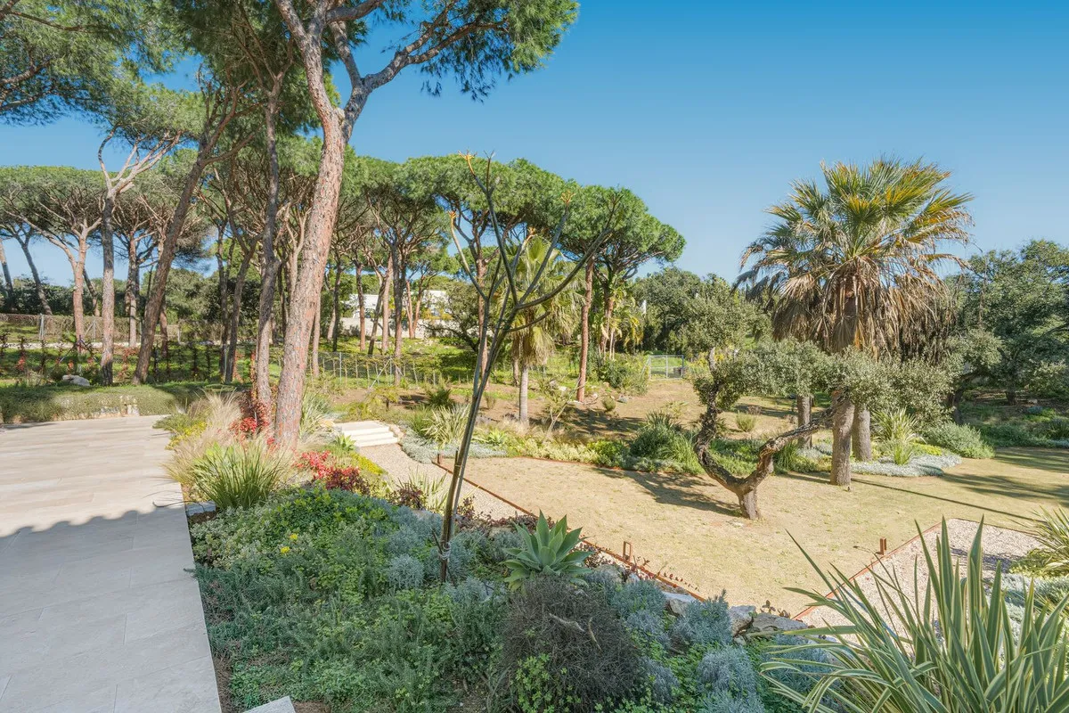 cc49865e-dd2d-4b59-a92f-81a0af1f8aea