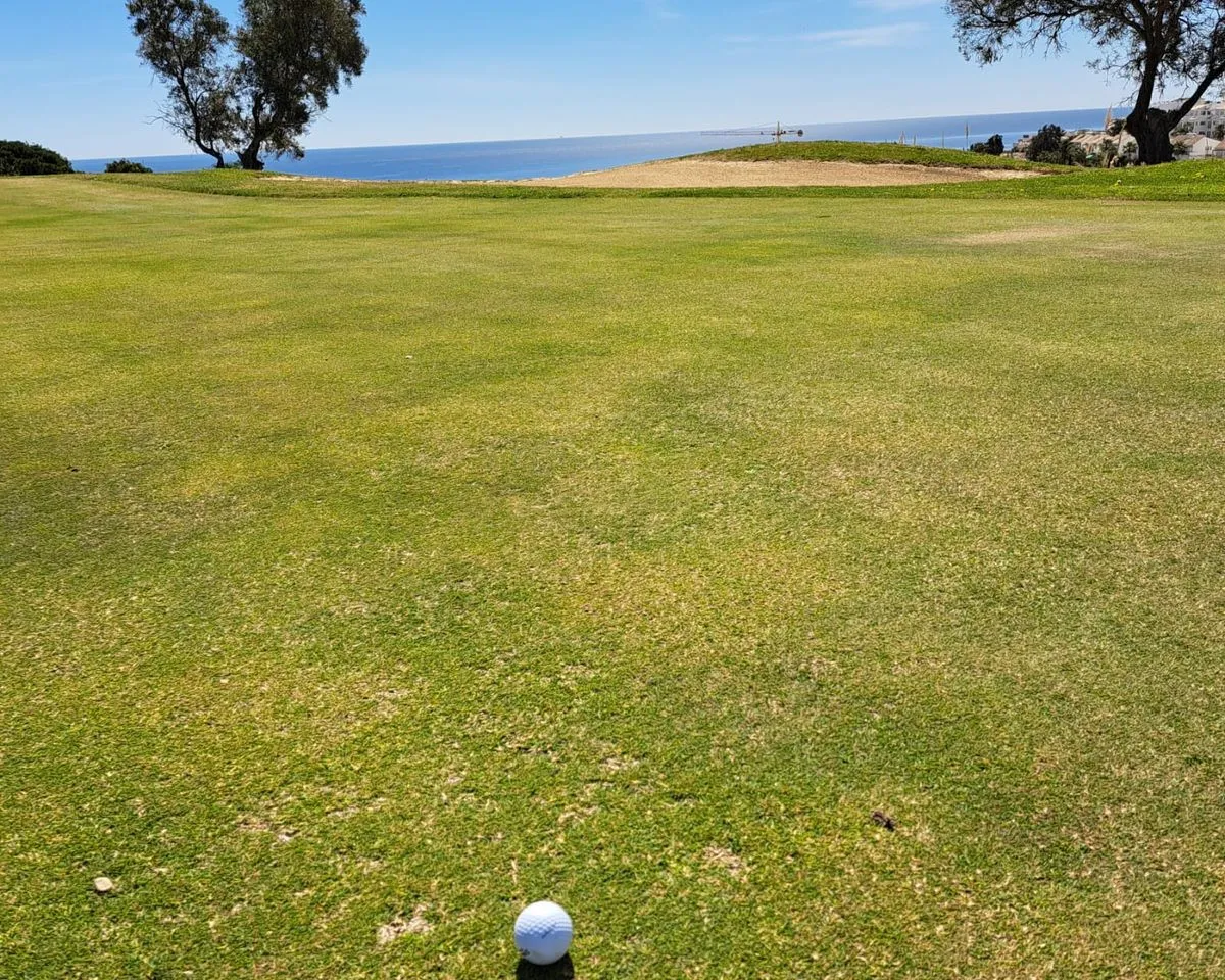 fe51698b-1a4d-400e-981b-a5408188a61a