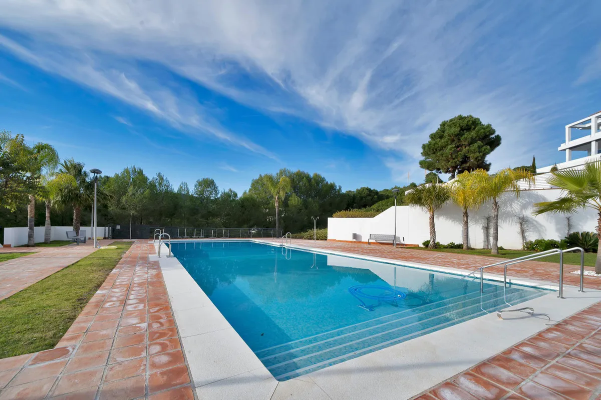 499d01d9-b1fd-4d12-a407-72b29477e76e