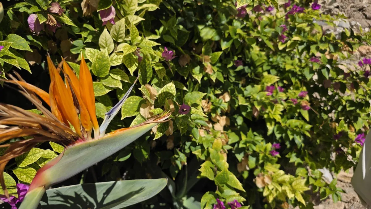 0cb2407d-dffa-4227-b8a3-315d437bf34e