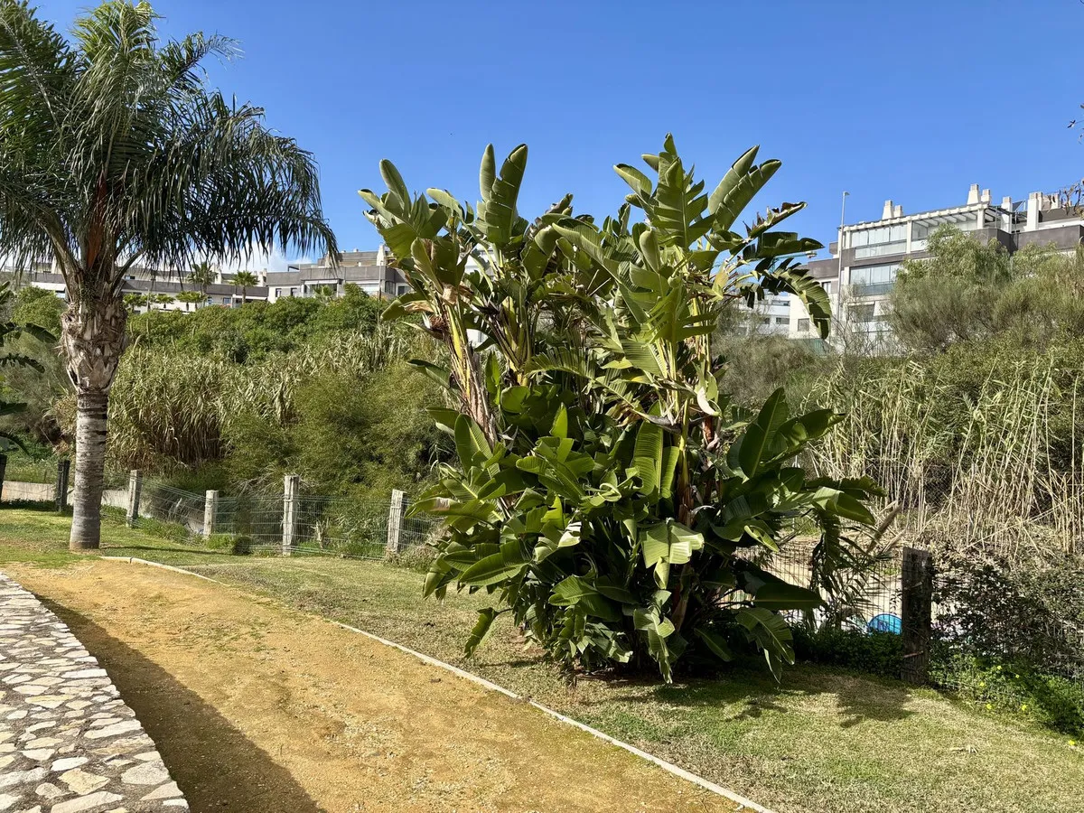 736ce5b1-6b35-472e-9e15-a3f6b21c376e