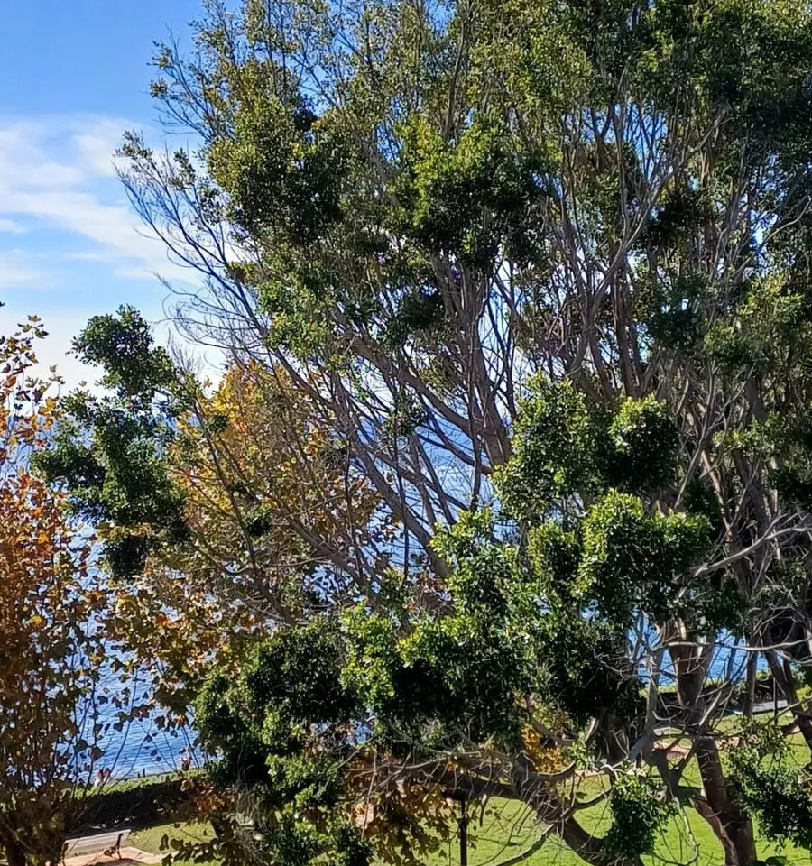 931f7e76-7593-4b65-8eee-ca7475771183