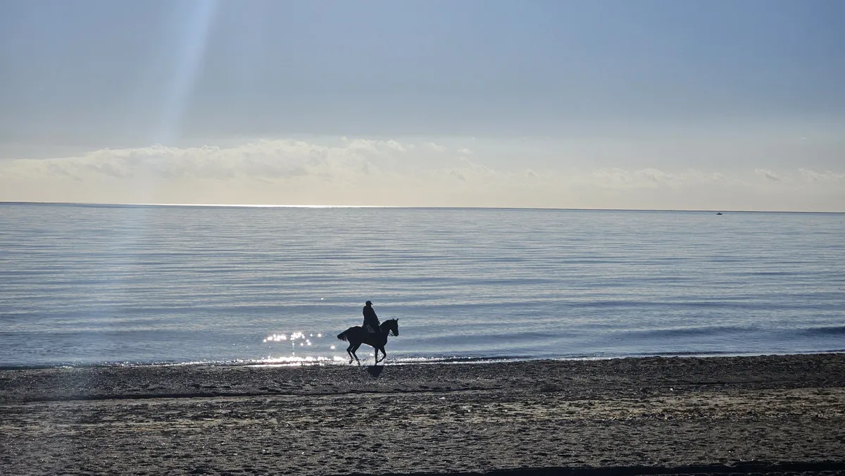 bb4546b4-46ed-401e-be34-94ce4e0f4163