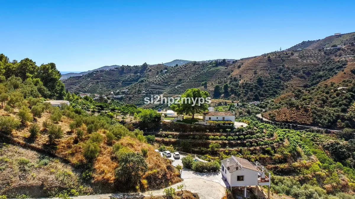 cfd0b1a7-dbff-46c7-b877-3f1e6804f1cc