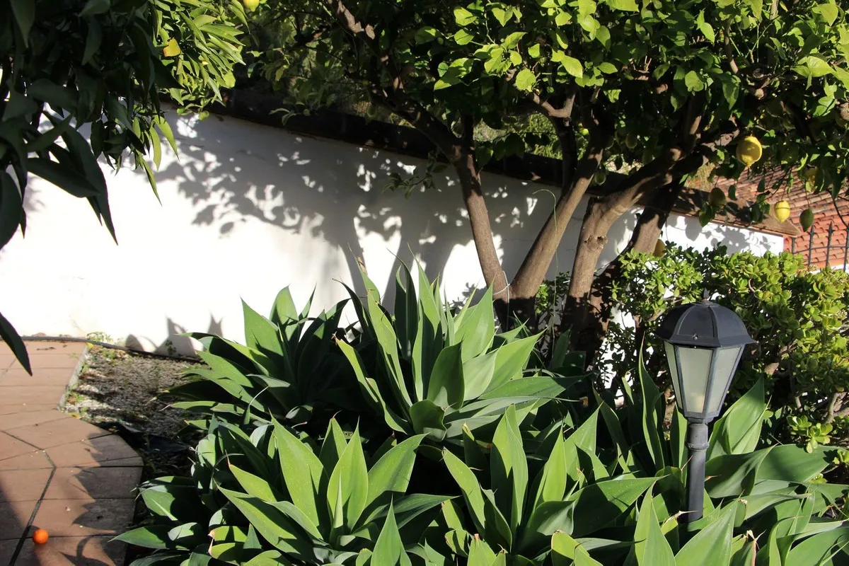 642fa1b2-5744-4f70-9cca-380c83abd93a