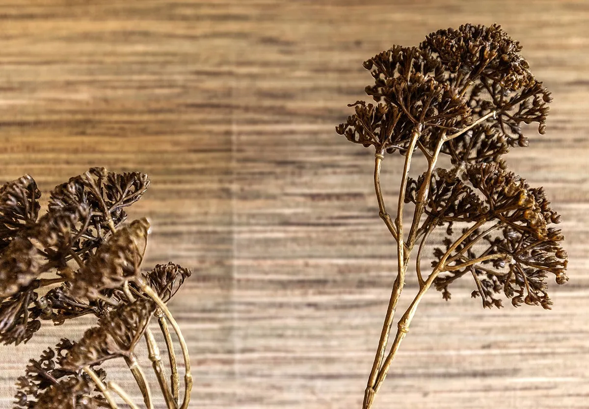 369d7d8e-0449-458b-a0fc-8bbdd2f52d5e