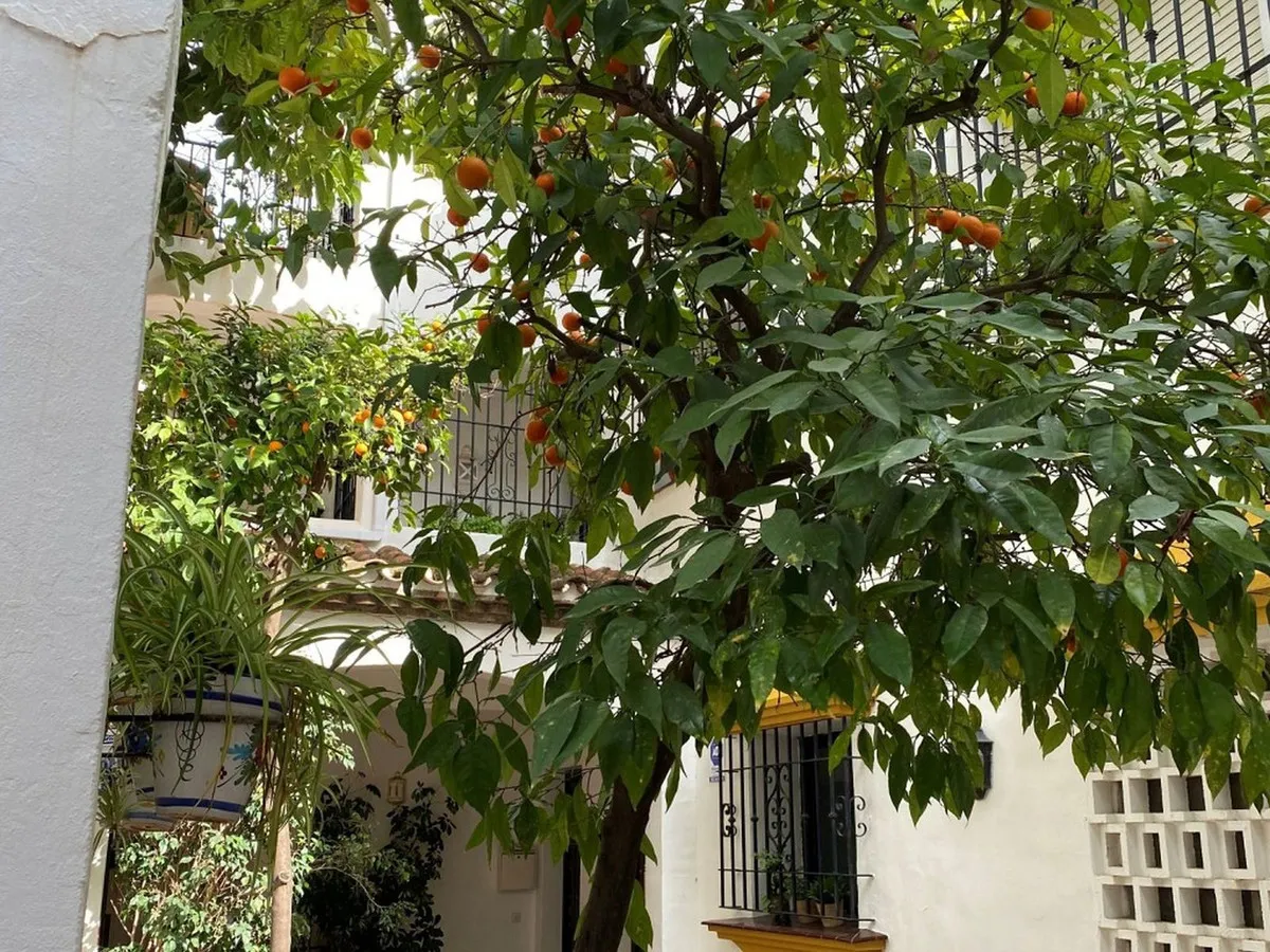 5cc3cba7-7a57-4f92-b17d-035635d57957