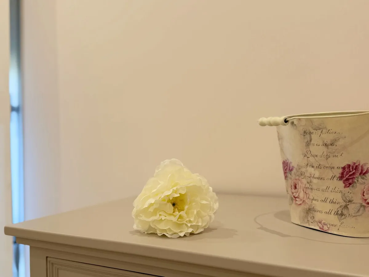 3c3b7d54-353f-4b34-8efd-e2e1fd2dad30