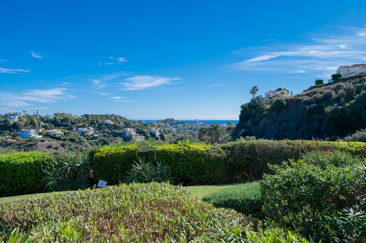 6ce4df63-bb4a-4817-abb5-76fd43ab3358