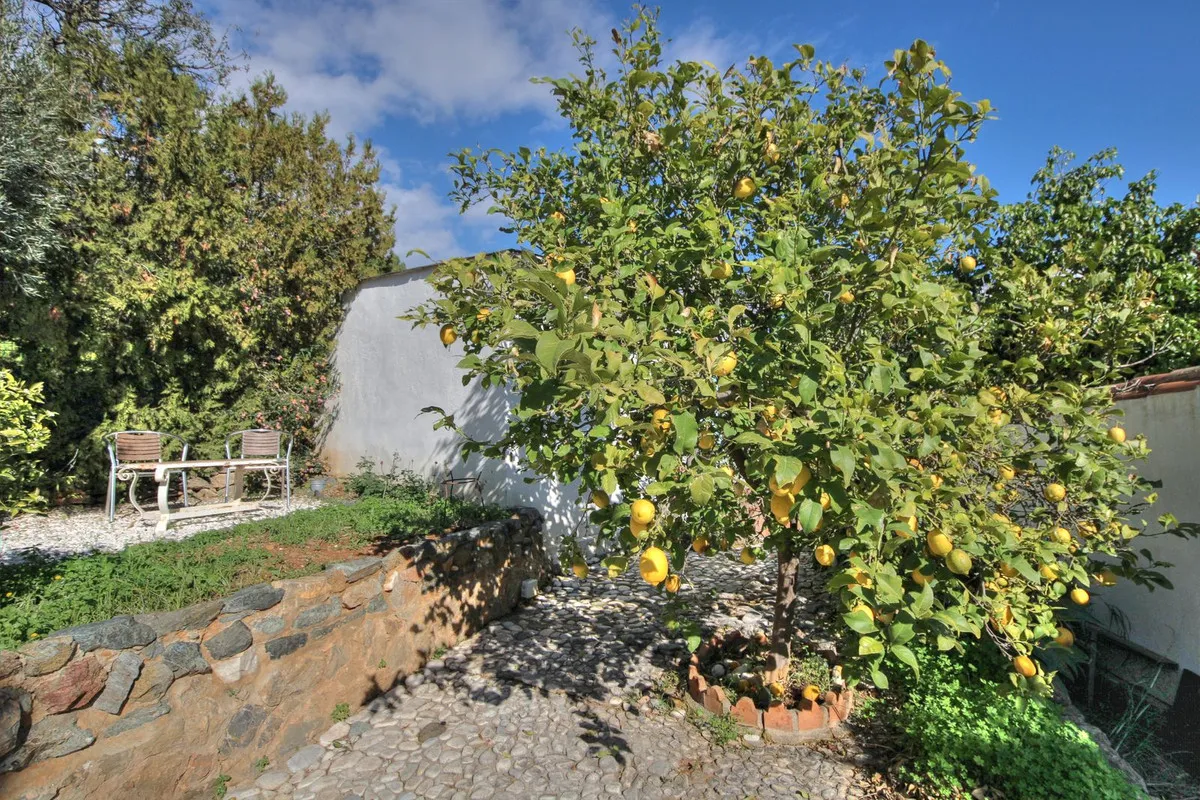 0c10101a-789e-4da8-9d96-948baad1befb