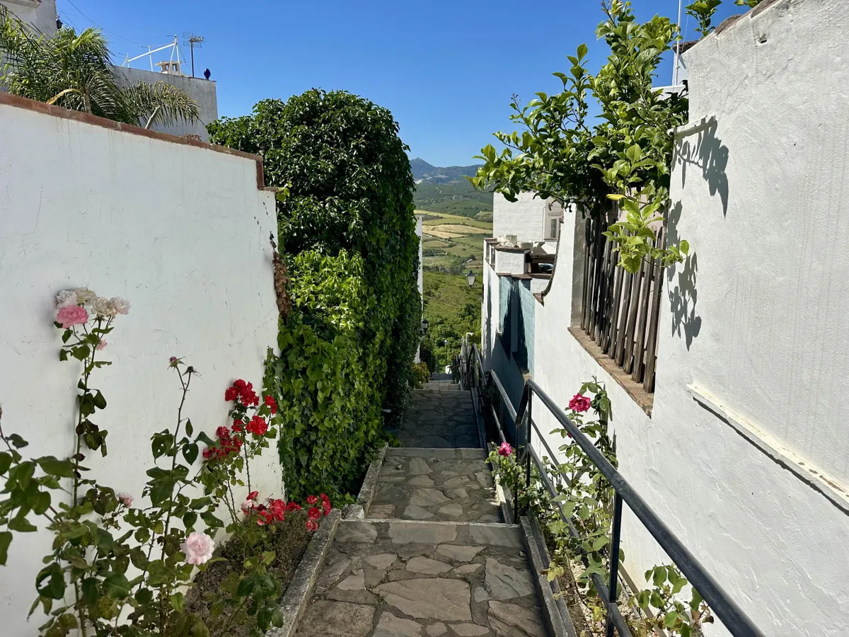 368a727f-1200-4b24-a100-6c8dd622f559