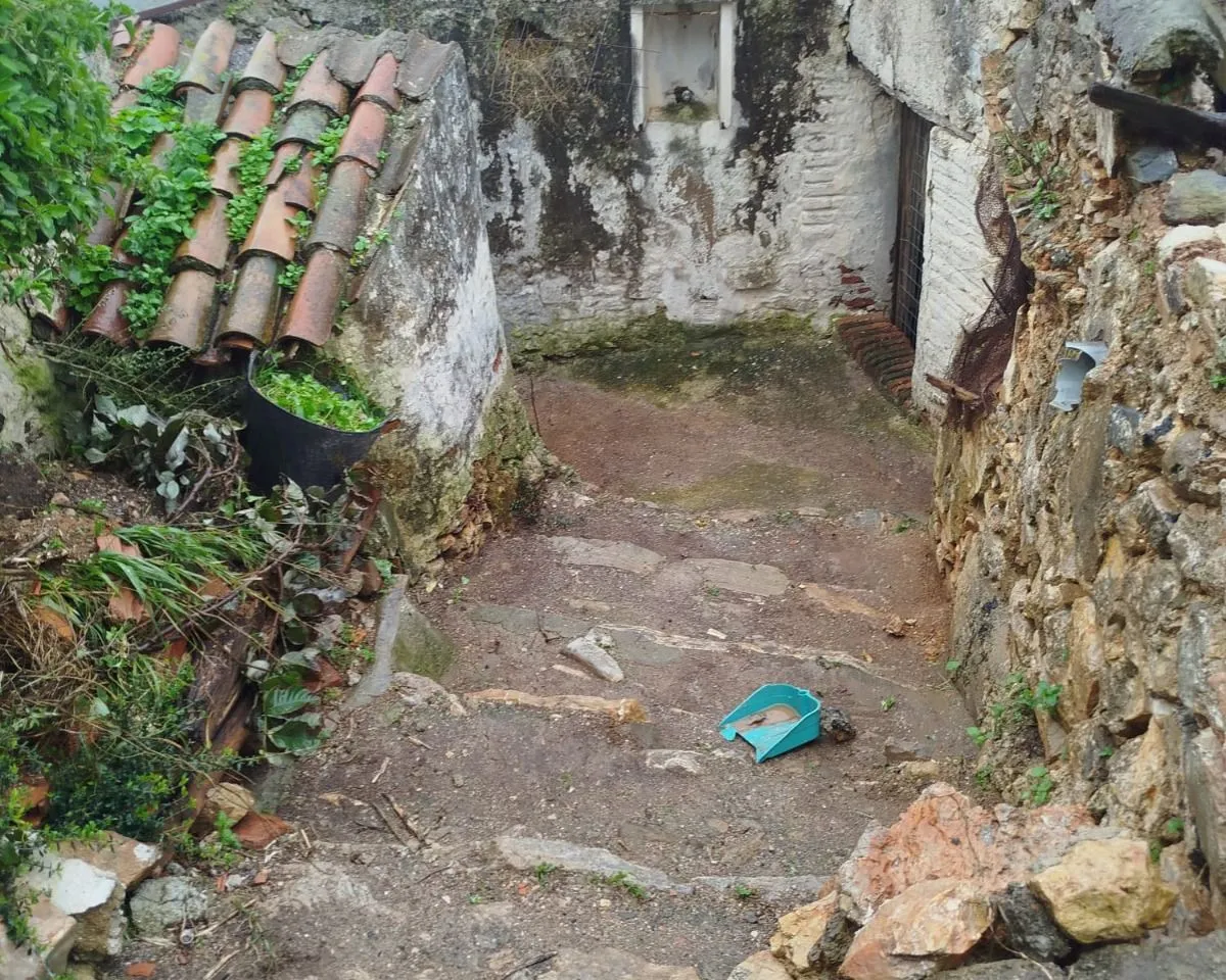 1c341773-9c8f-4876-89ba-00e4b5800139