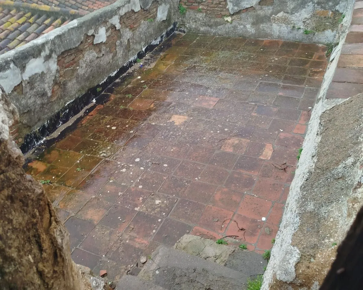 44e6f217-3ac4-4c56-b5fb-8eeb9bf9f9bc