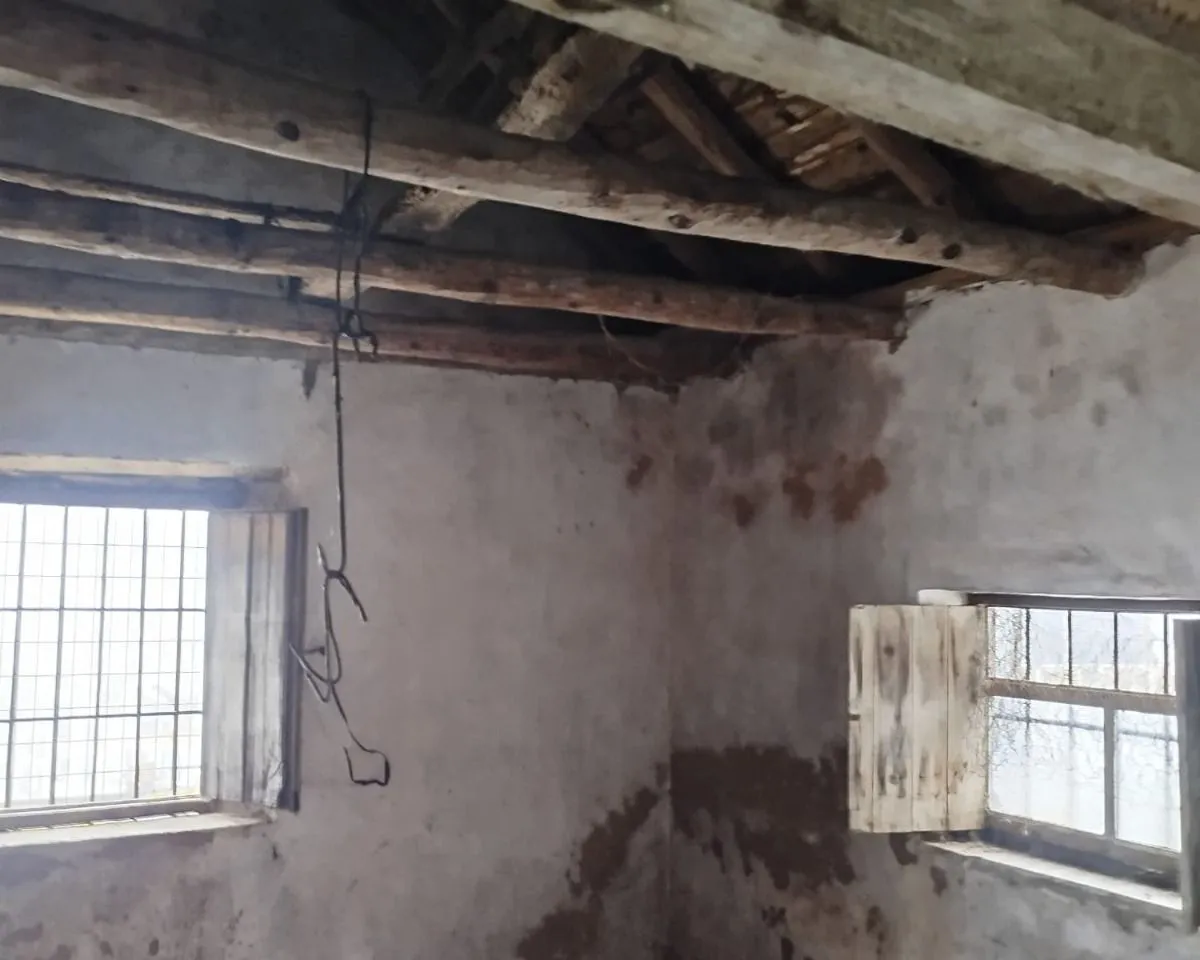 44febda0-1ffc-4929-98af-1442cedfbdaa