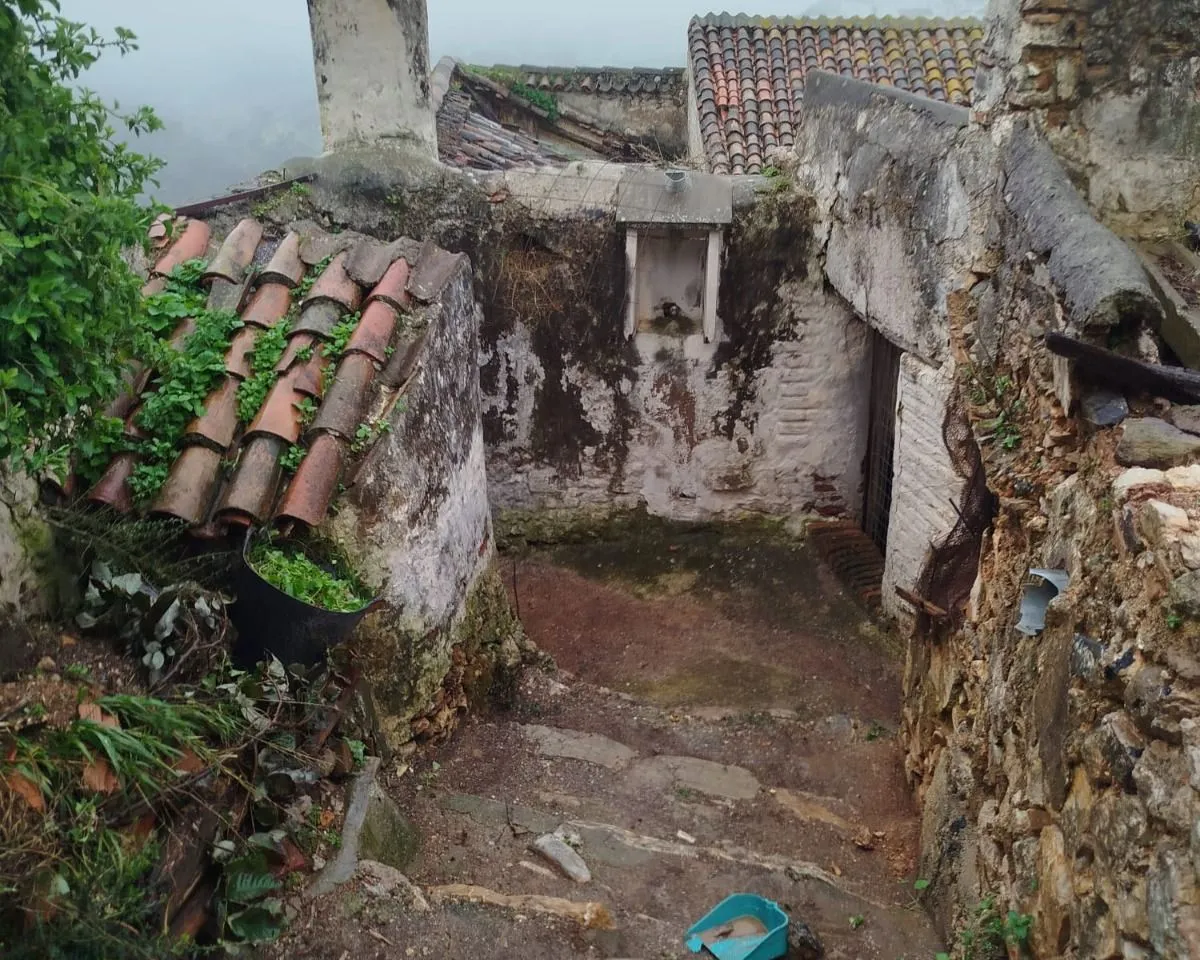 7b468ef3-a6f2-45f4-becf-aa79c18d68c0