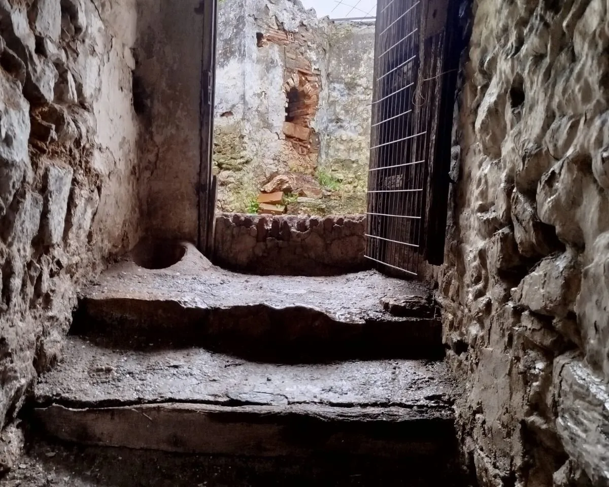 a72fadff-2463-467b-94f3-ac8b9293ebc1