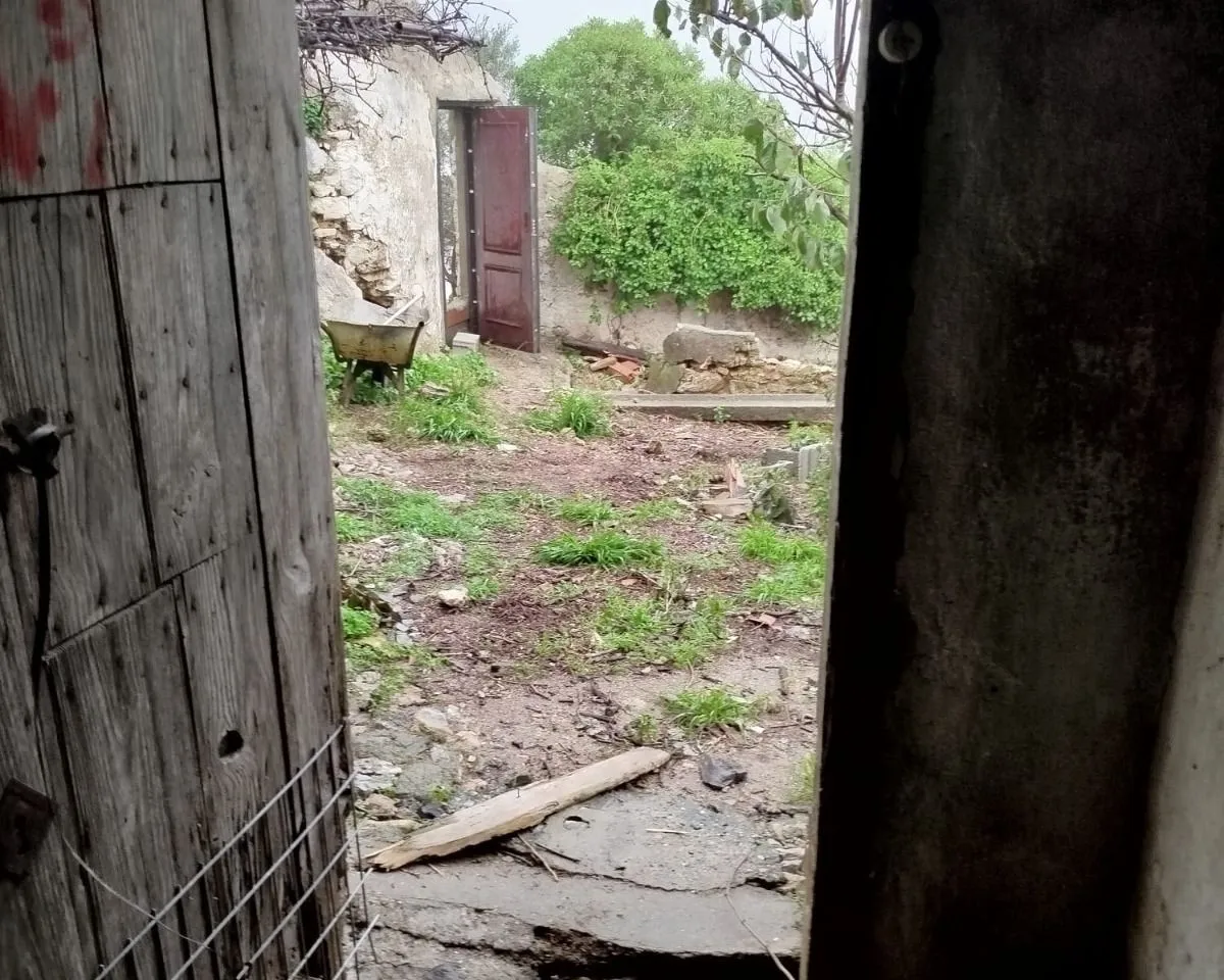 bd9fa30b-74b6-44ef-8858-77e1a83c99ec