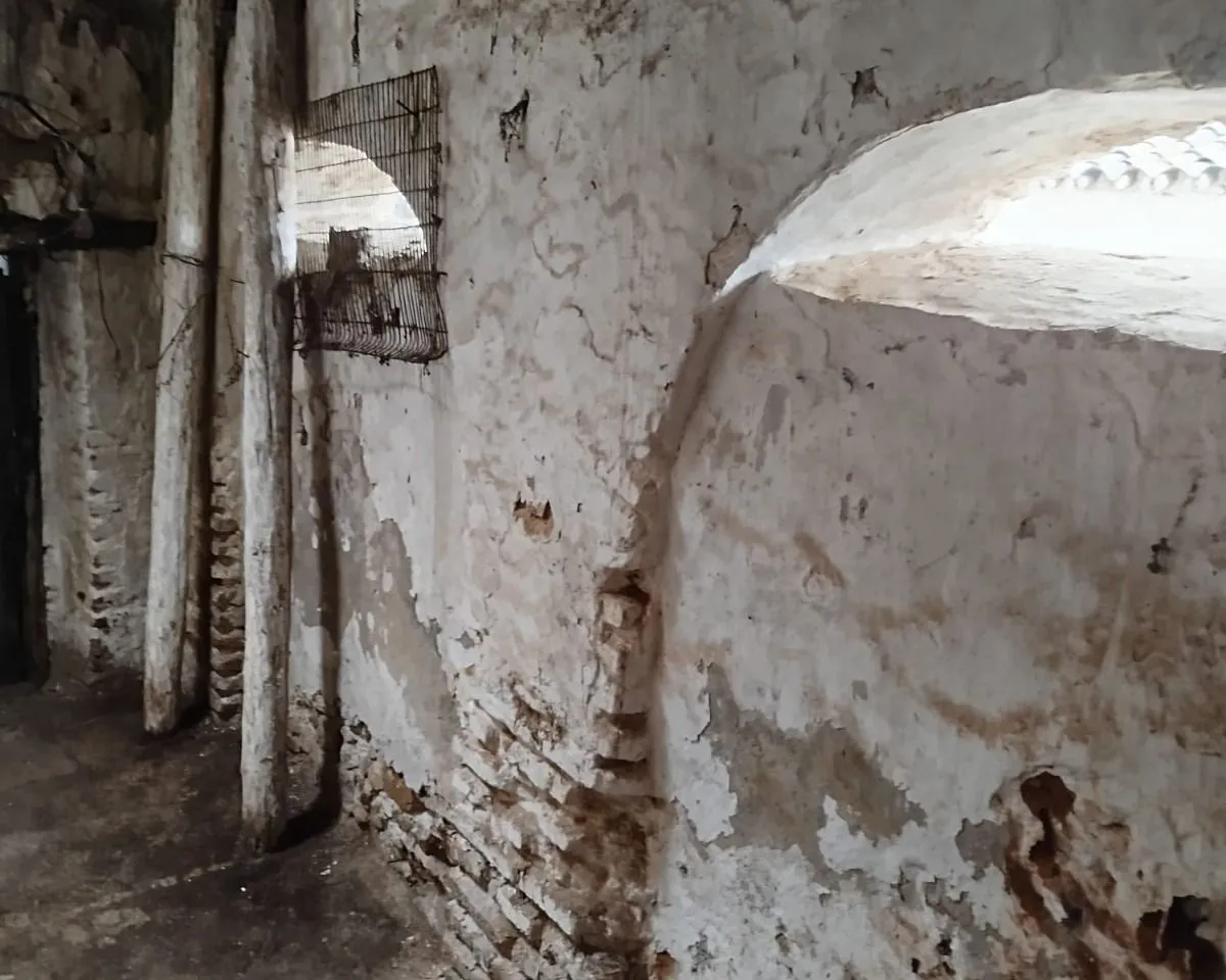 c5162e5e-9a49-4cb0-93bf-0034f4615785