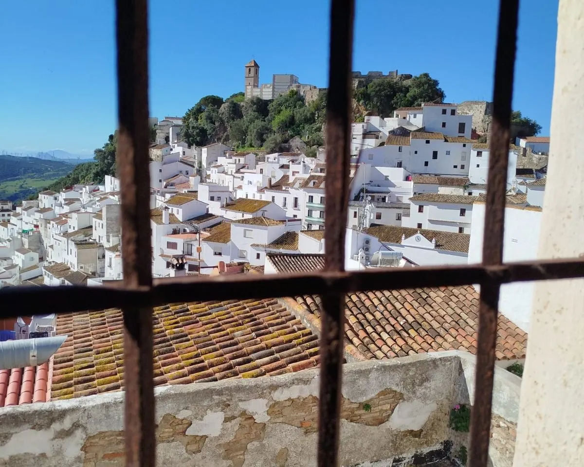 e1ae7f2c-0e6c-457b-9d01-d608247004ac