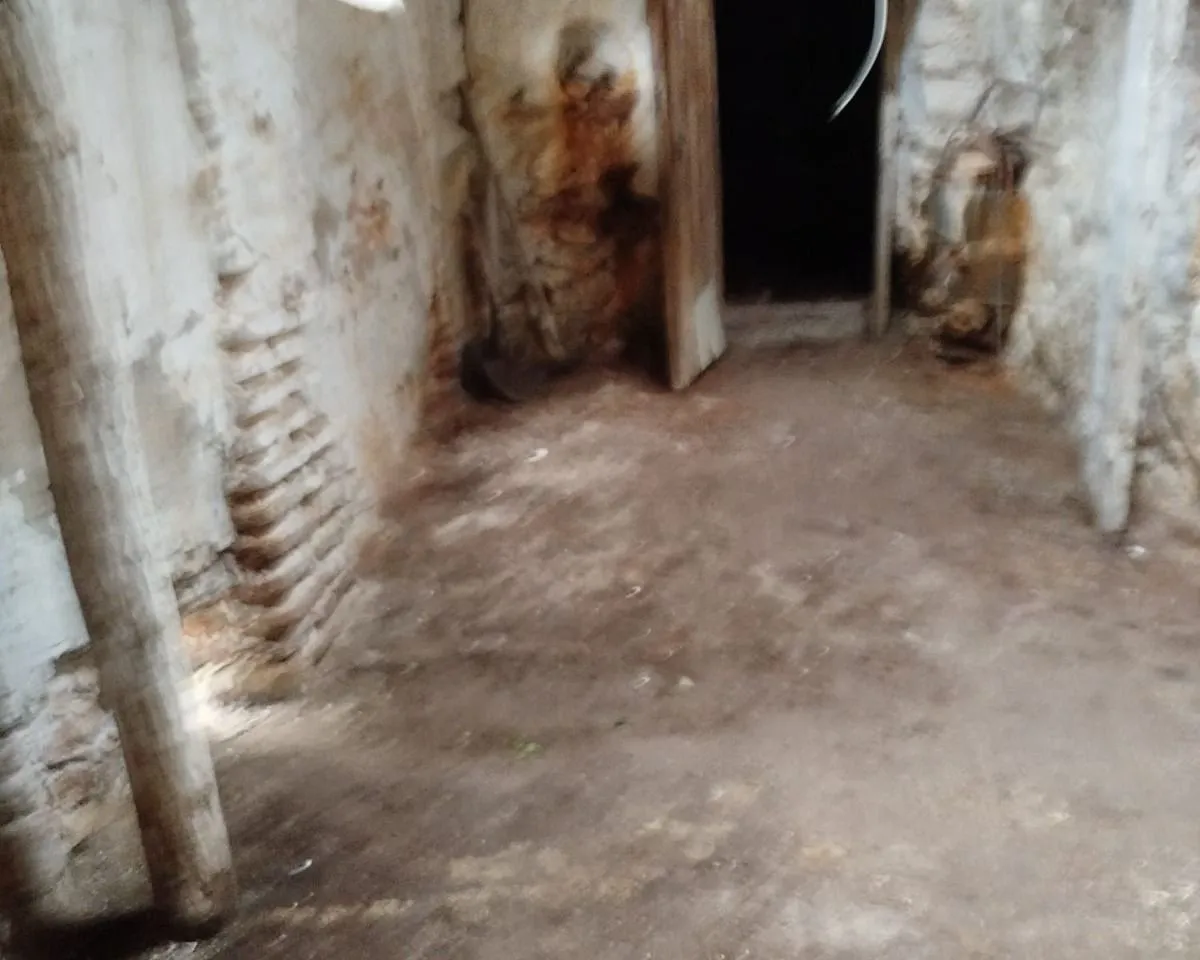 e43d74fc-3265-4354-9008-a316510b6d07