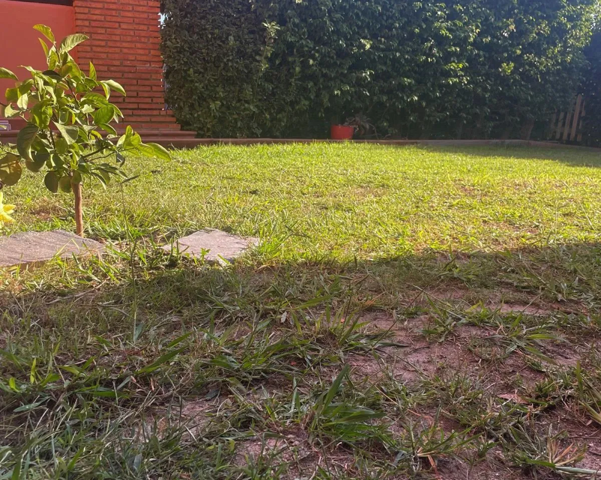 4f725e74-11ad-409e-82f8-6fda20a0f9b5